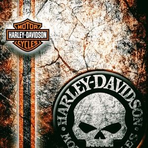 Meet your Posher, Tim